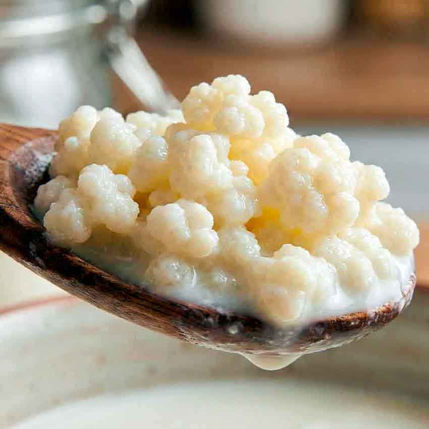 Melkkefir closeup