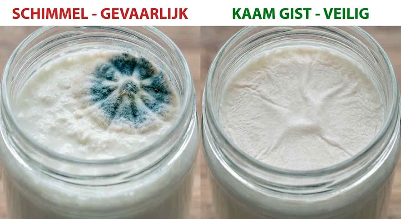 Voorbeeld van melkkefir met gist en schimmel