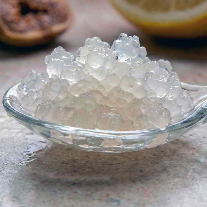 Waterkefirkorrels closeup