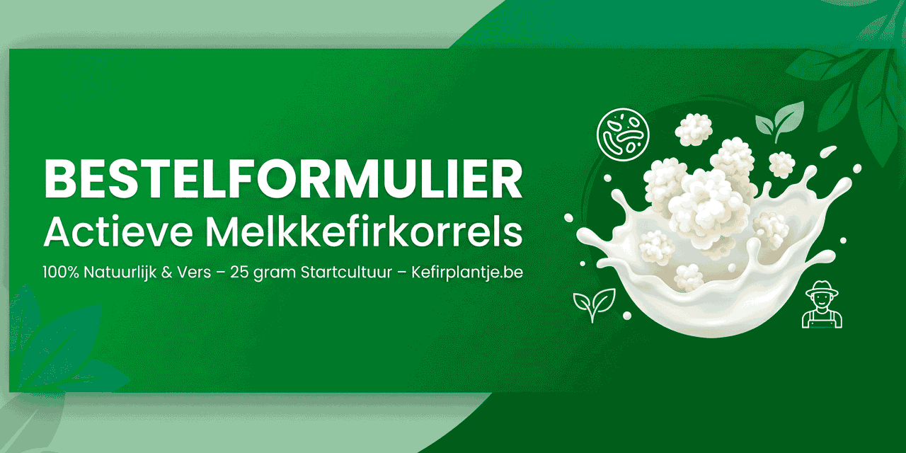 Melkkefirkorrels kopen